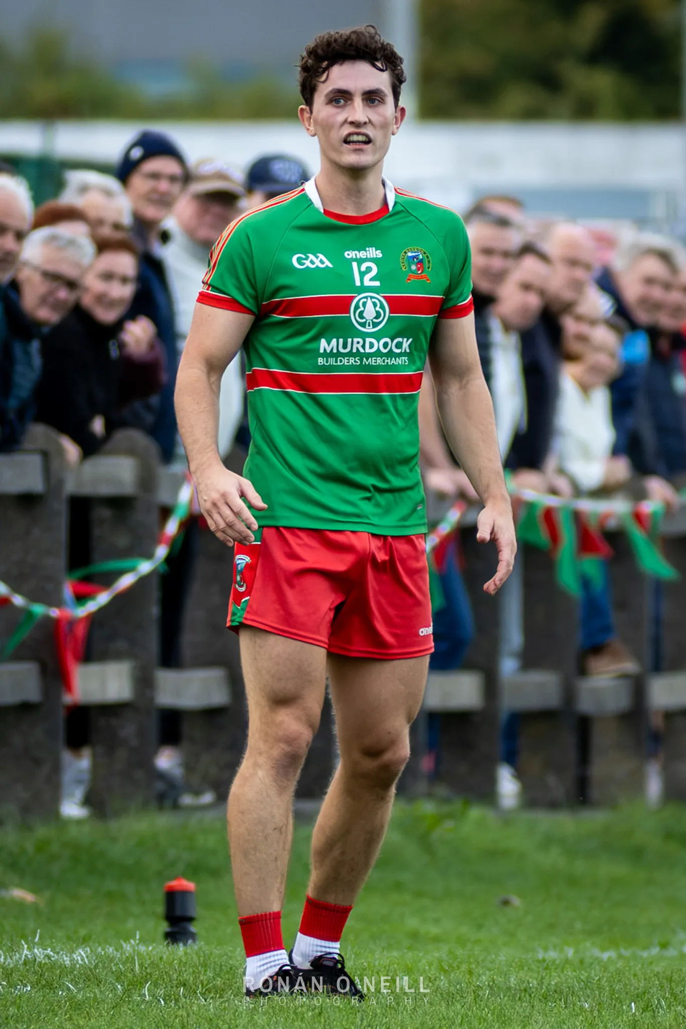 Naomh Barróg vs. St Patrick's Donabate — Dublin Senior Football Championship 2, Pairc Barróg, September 2026 (photograph 16 of 40)
