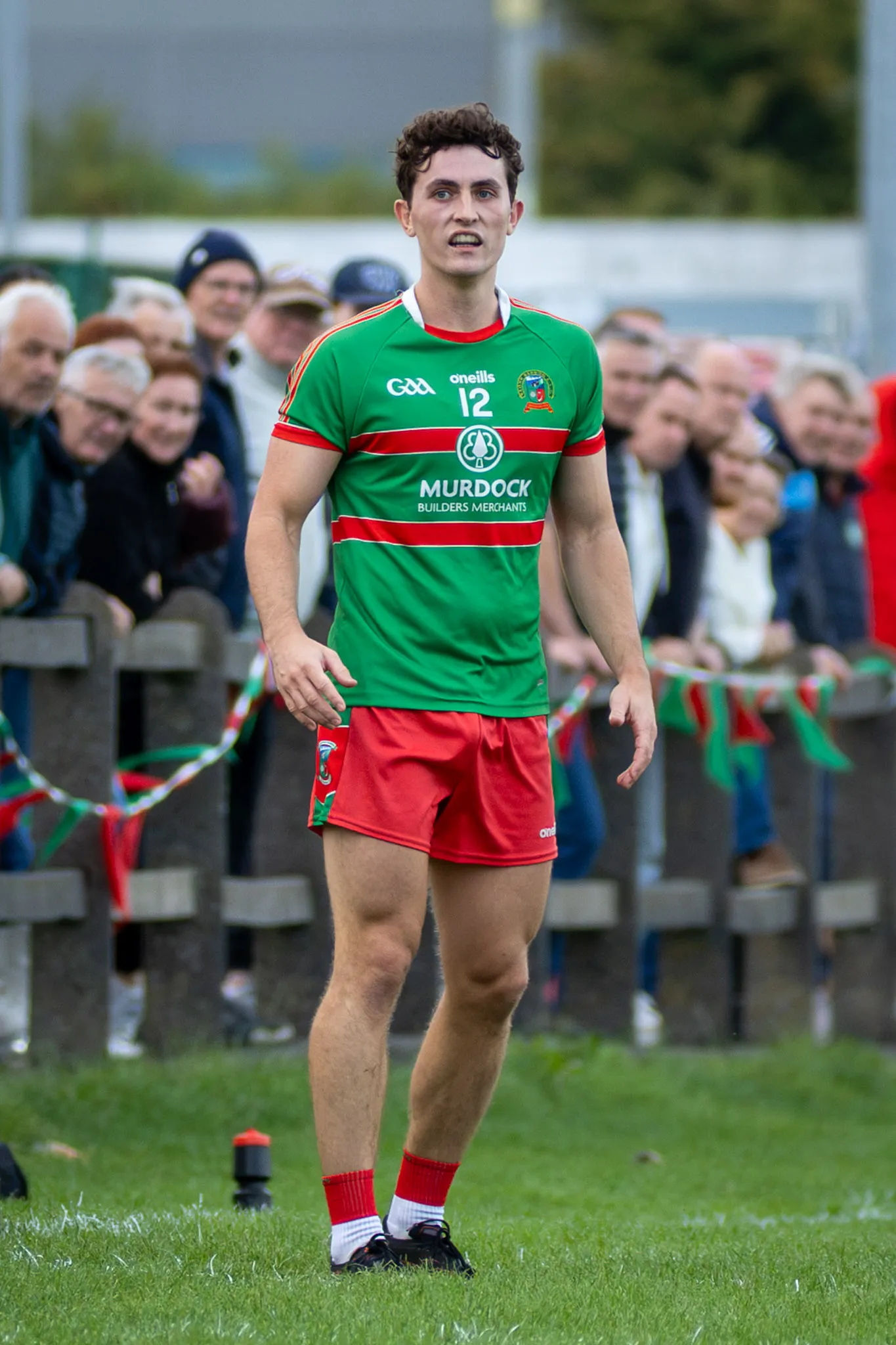 Naomh Barróg vs St Patrick's Donabate, senior football championship at Pairc Barróg, 2026